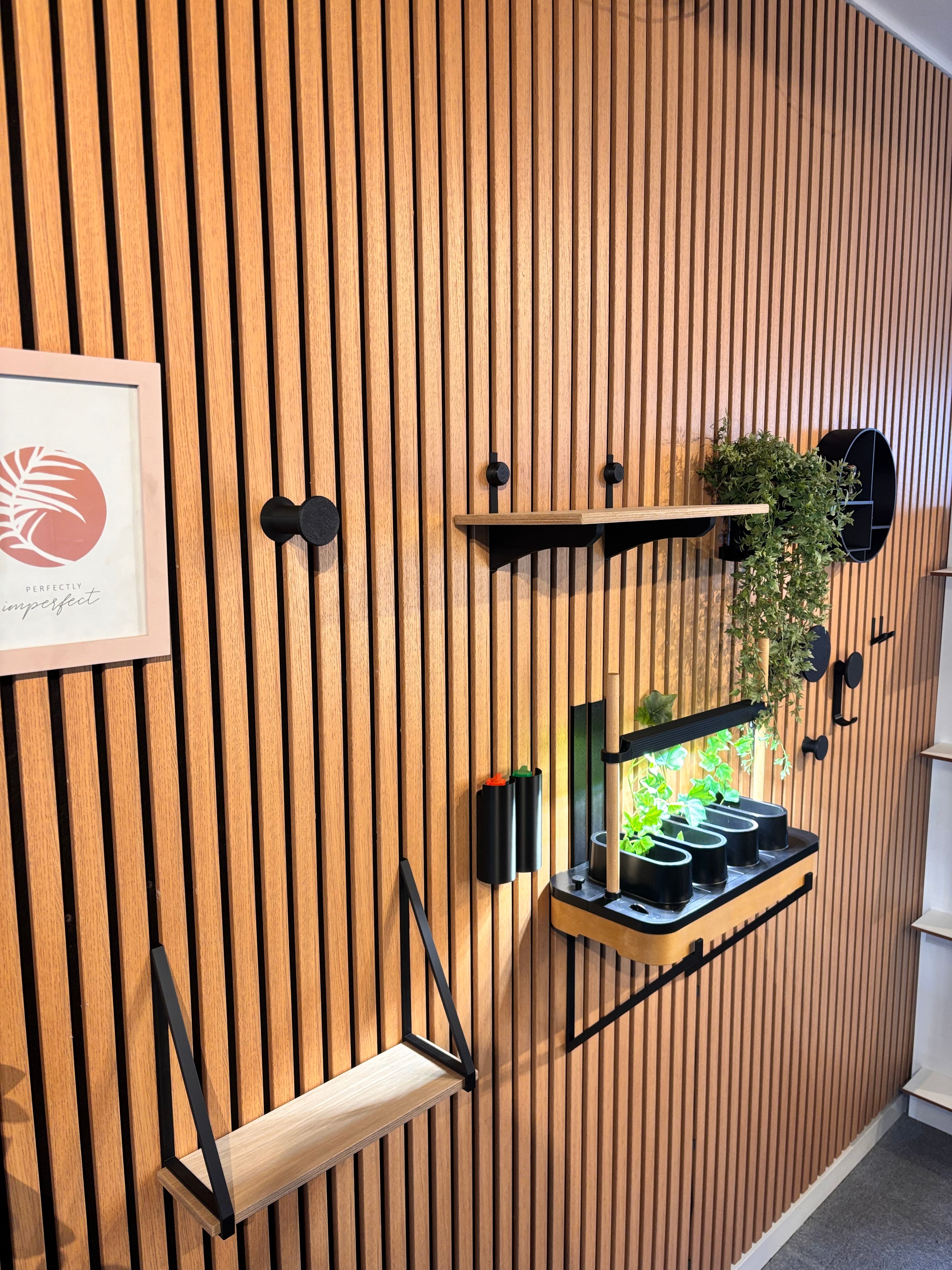 IMG_4225.jpeg__PID:9f5bd548-3411-4ab7-8e7f-b614915f3081